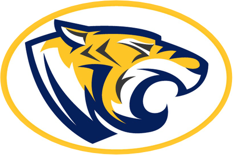 Tioga Central School District logo